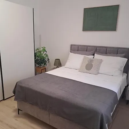 Olive Dreams Biograd Na Moru